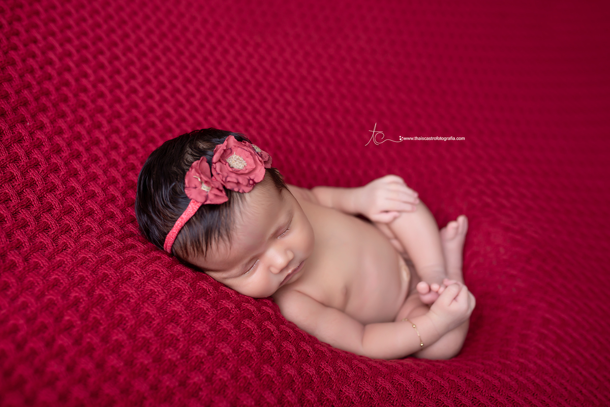 Ensaio newborn Santo André Thais Castro Fotografia