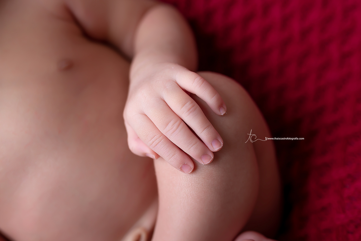 Ensaio newborn Santo André Thais Castro Fotografia