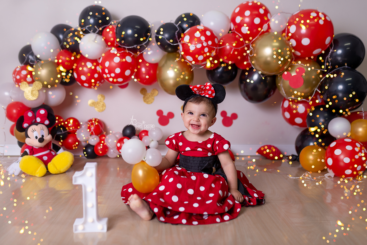 Smash the cake Minnie Santo André