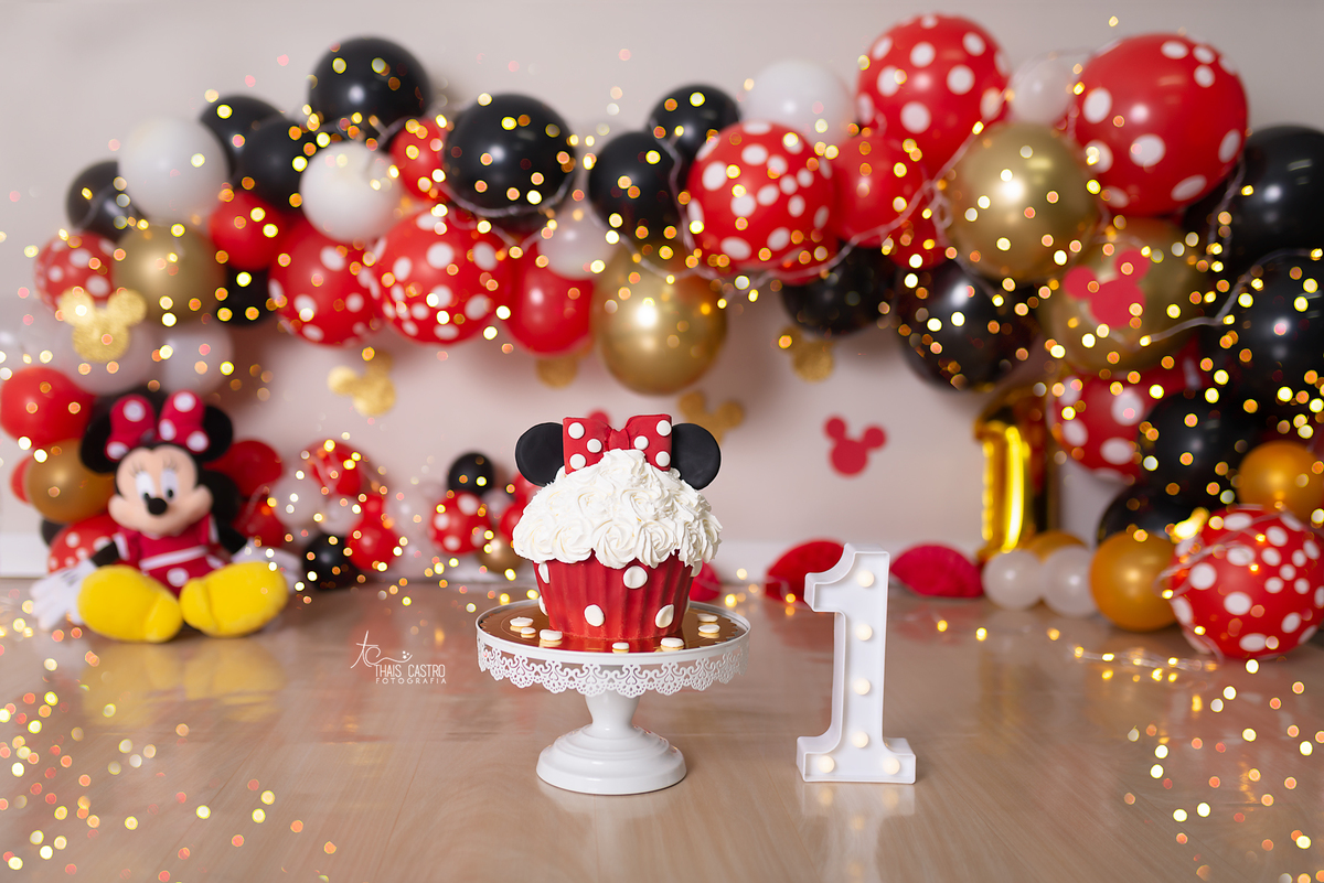 Smash the cake Minnie Santo André