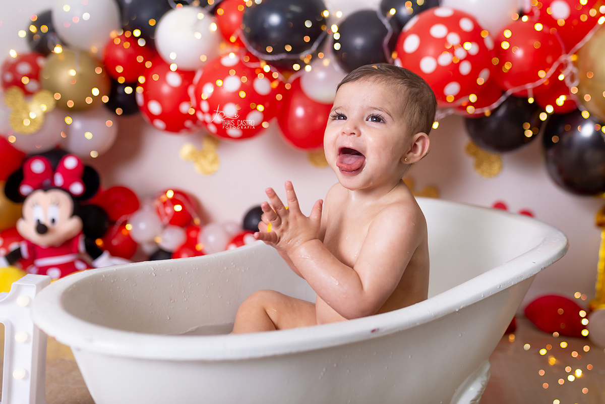 Smash the cake Minnie Santo André