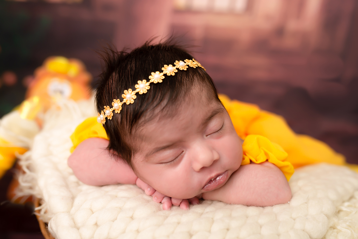 Newborn Bela e a Fera Santo André Thais Castro Fotografia 