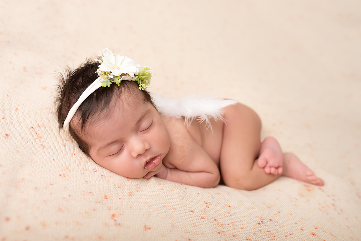 Newborn Santo André Thais Castro Fotografia 