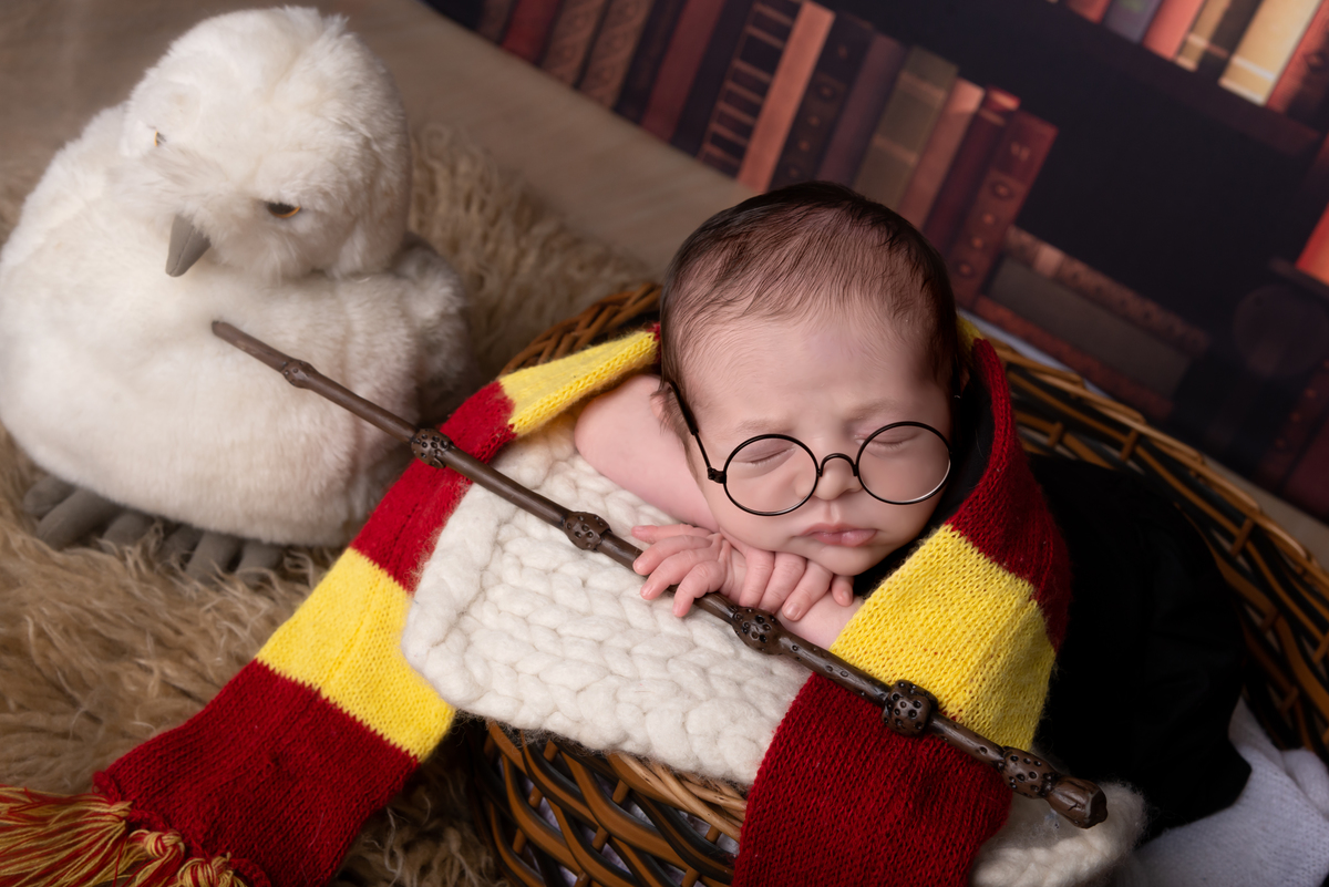 Ensaio newborn estúdio Thais Castro Fotografia Santo André