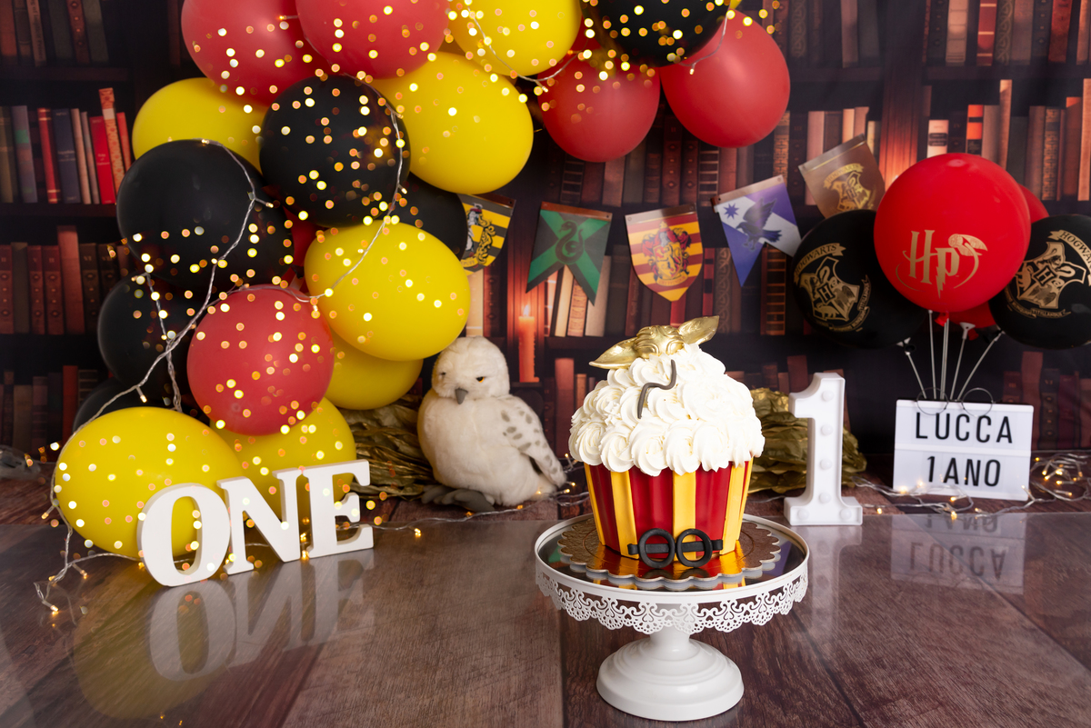 Ensaio Smash the cake Harry Potter - Santo André - Thais Castro Fotografia