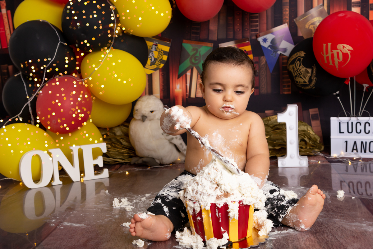 Ensaio Smash the cake Harry Potter - Santo André - Thais Castro Fotografia
