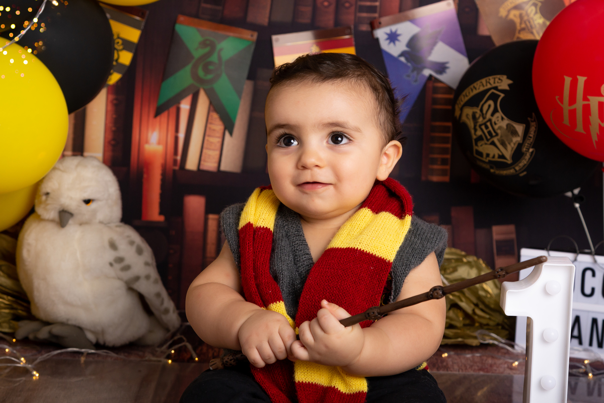 Ensaio Smash the cake Harry Potter - Santo André - Thais Castro Fotografia