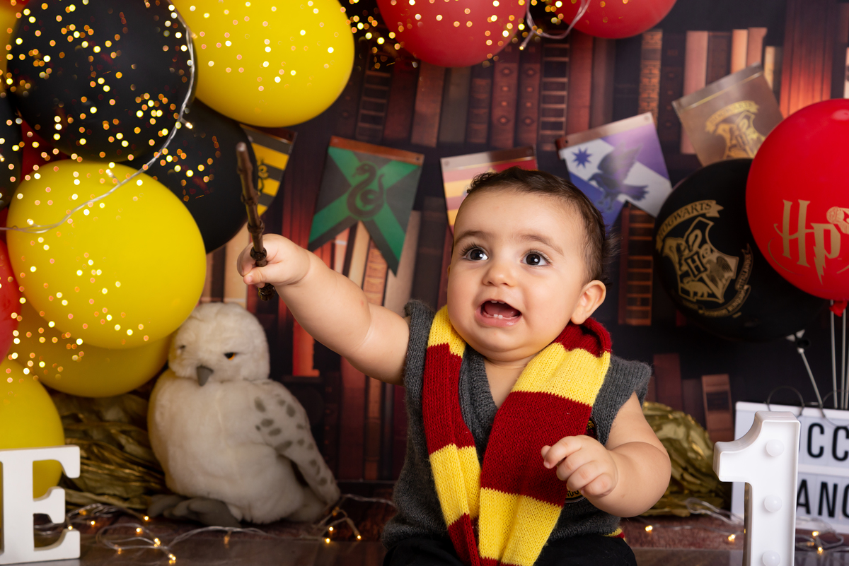 Ensaio Smash the cake Harry Potter - Santo André - Thais Castro Fotografia