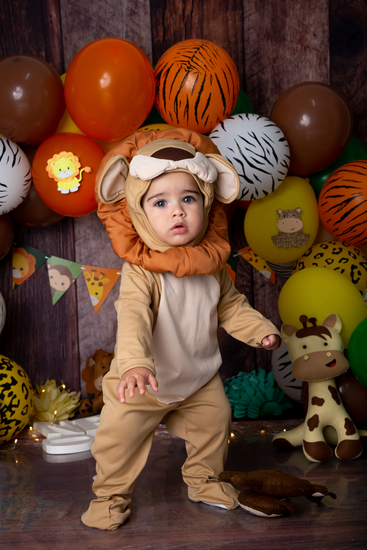 Ensaio Smash the cake Safari - Santo André - Thais Castro Fotografia