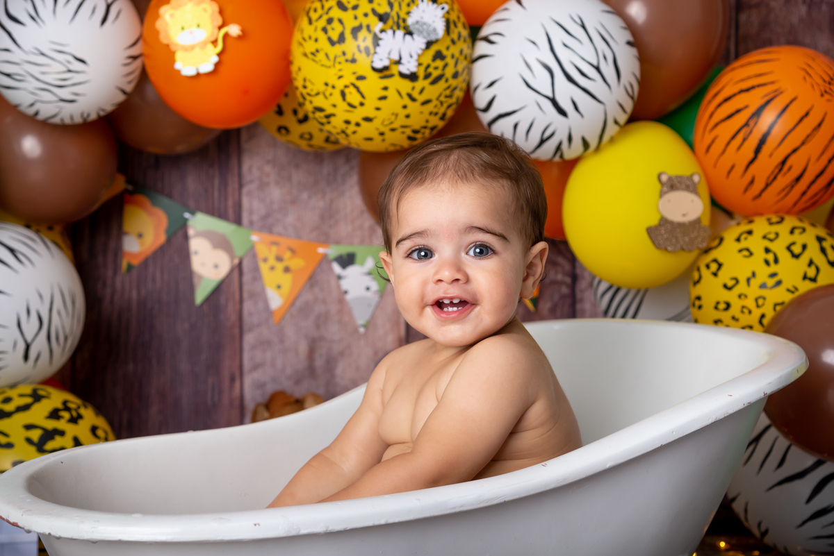 Ensaio Smash the cake Safari - Santo André - Thais Castro Fotografia