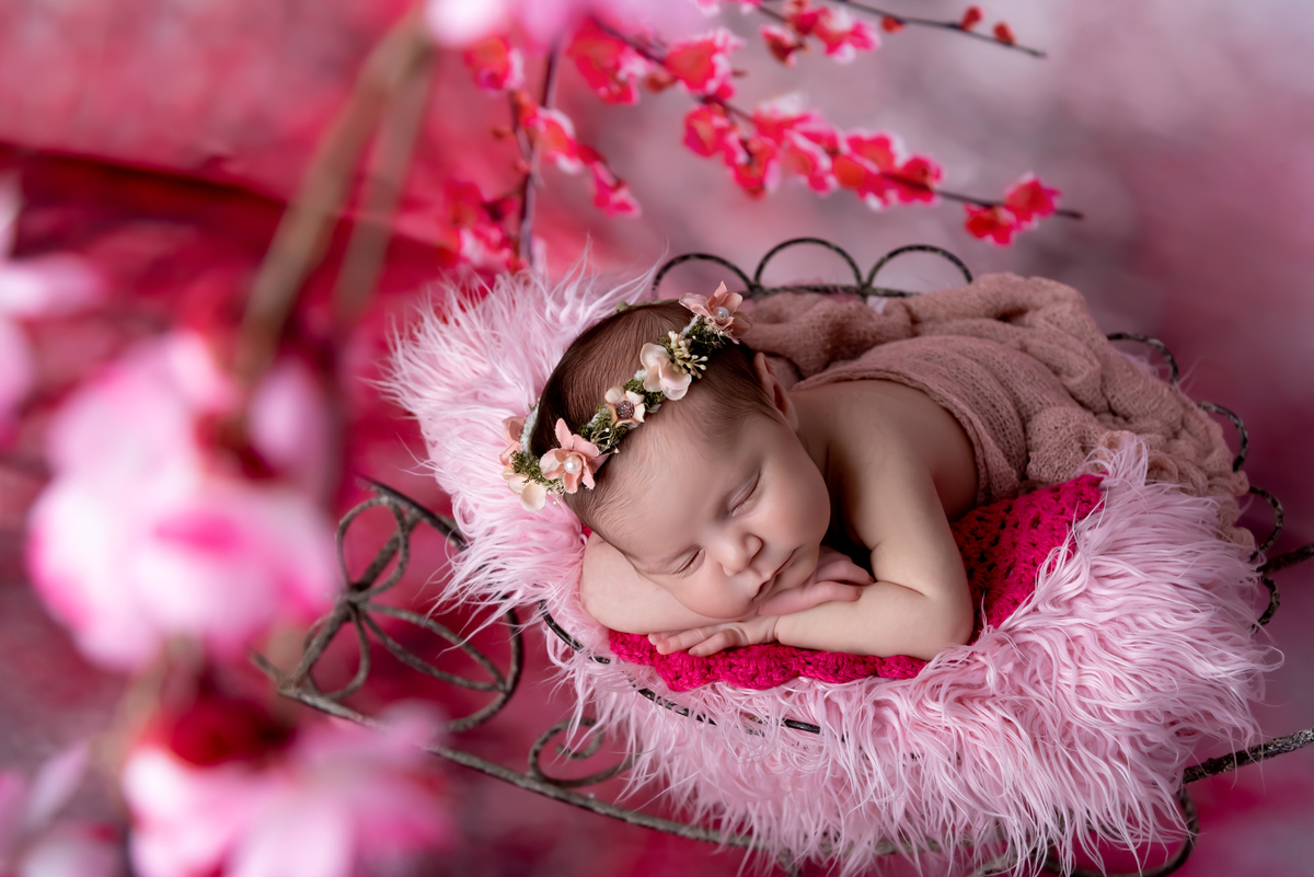 Ensaio newborn - Santo André - Thais Castro 