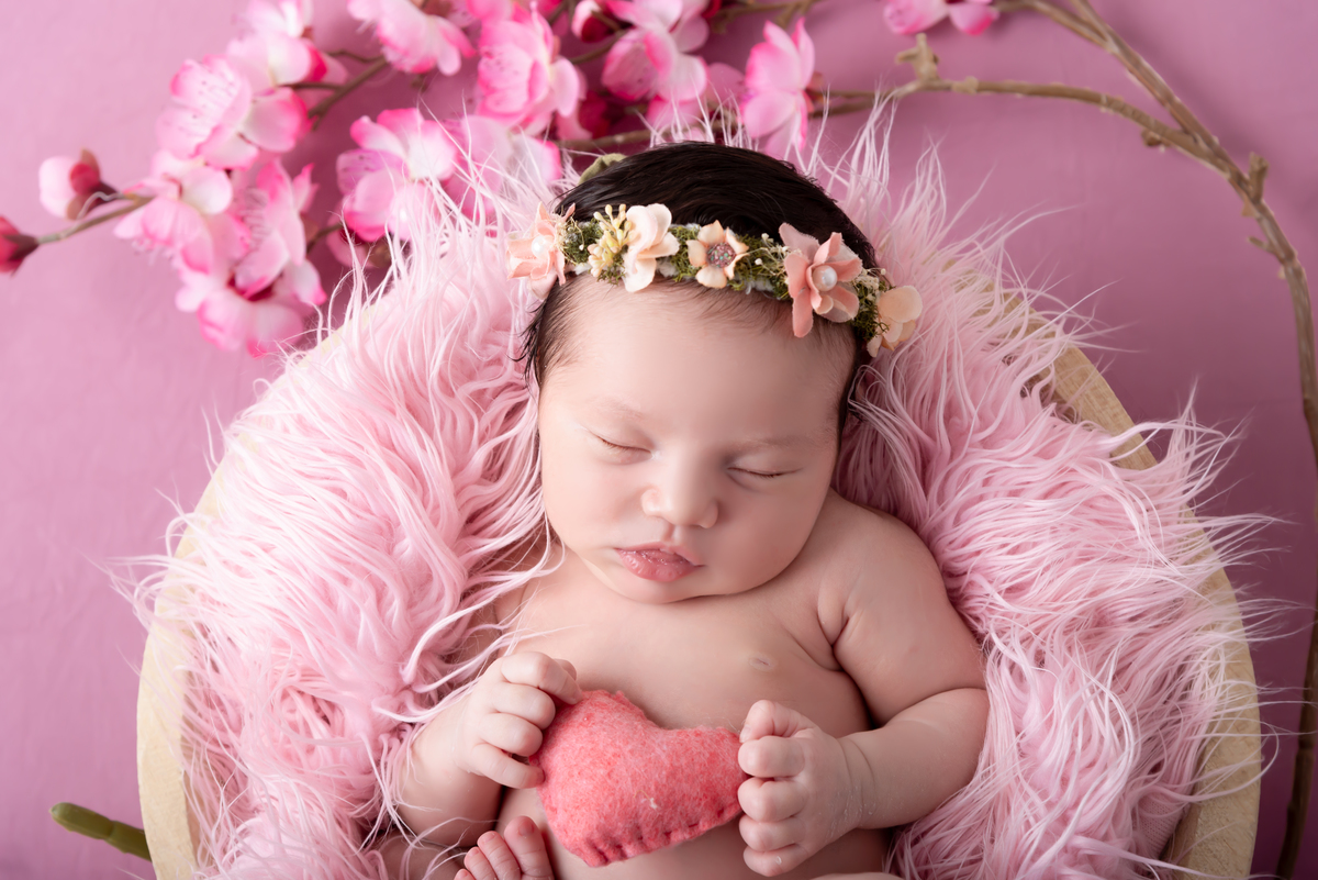 Ensaio newborn  Santo André - Thais Castro 