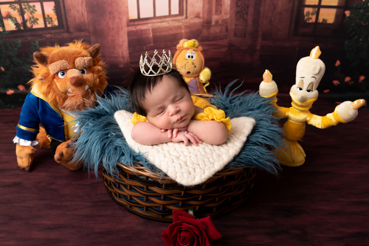 Newborn Santo André Thais Castro Fotografia