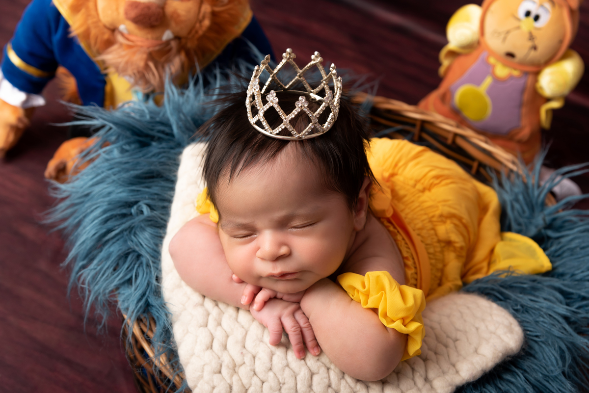 Newborn Santo André Thais Castro Fotografia