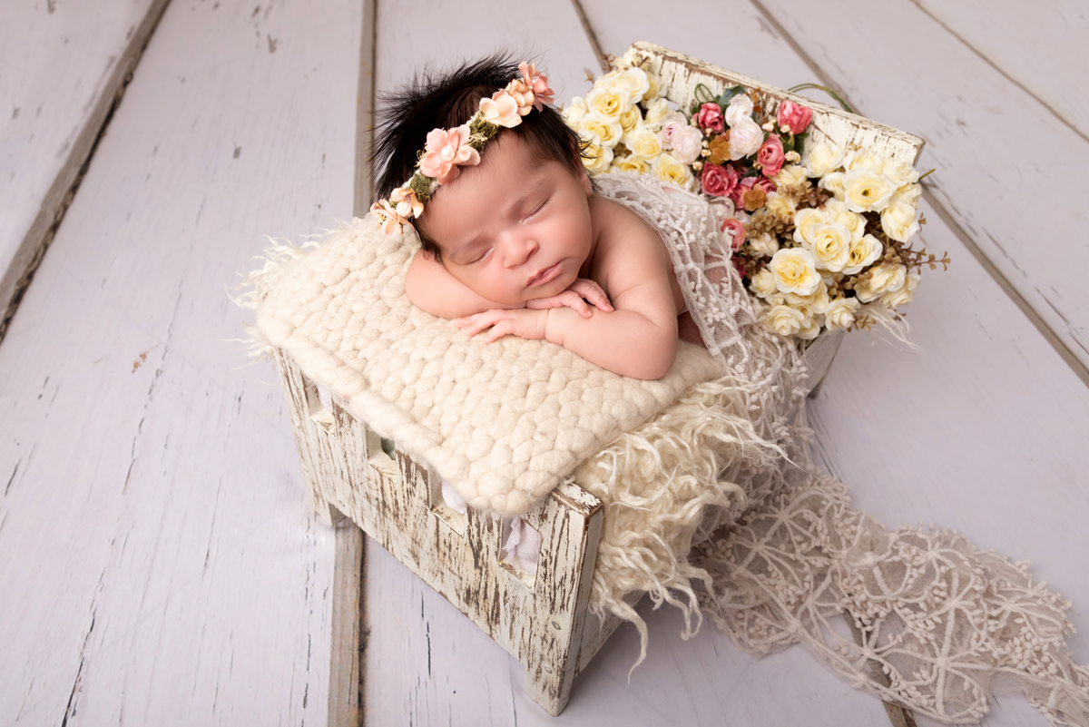 Newborn Santo André Thais Castro Fotografia