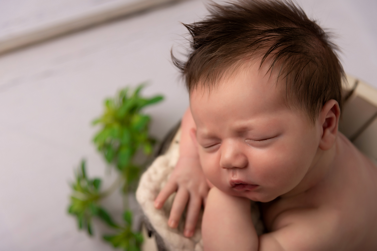 Ensaio newborn Santo André Estúdio Thais Castro