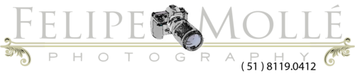Logotipo de Felipe Mollé Fotografia / Felipe Mollé Photography