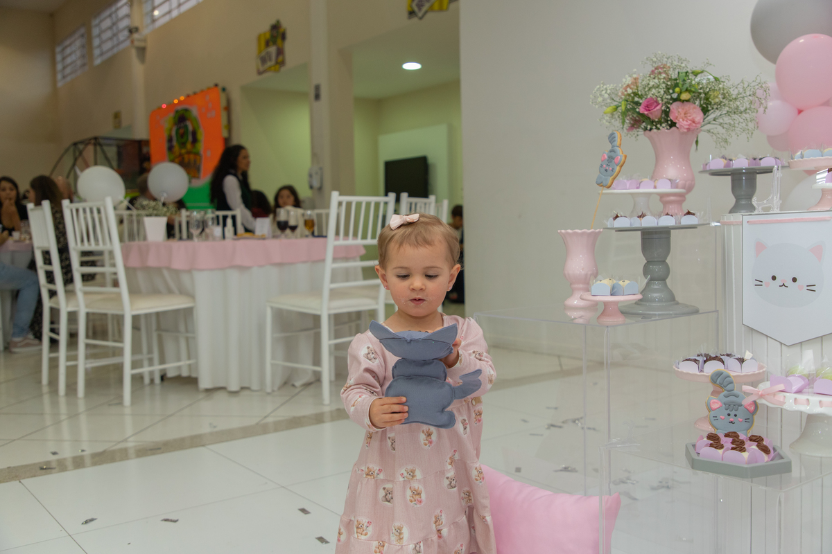 aniversário infantil