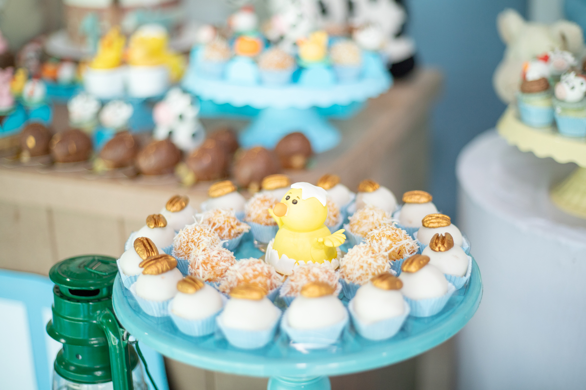 aniversário infantil