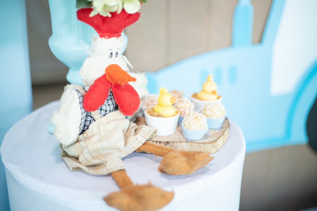 aniversário infantil