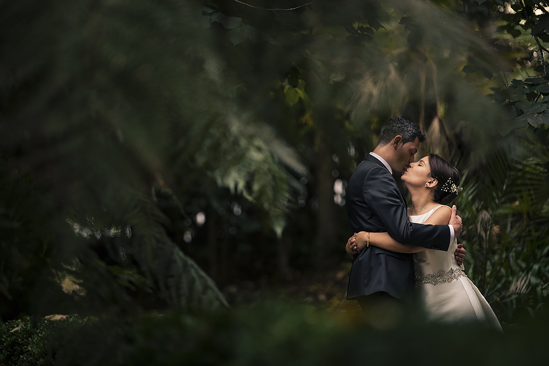 Copo a´gua
Palacio da Borralha