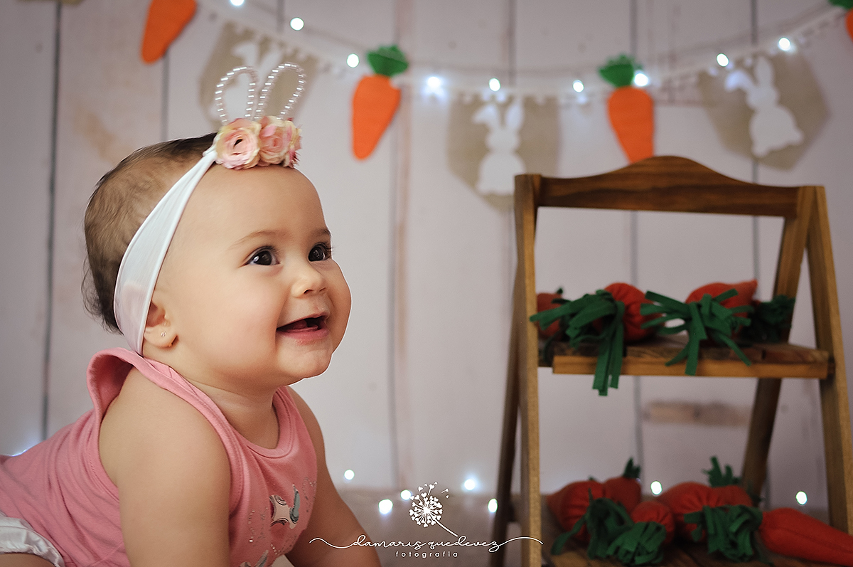 SESSÃO DE BEBÊS EM VOLTA REDONDA E BARRA MANSA - Fotografa Damaris Quedevez GESTANTE NEWBORN RECÉM-NASCIDO 