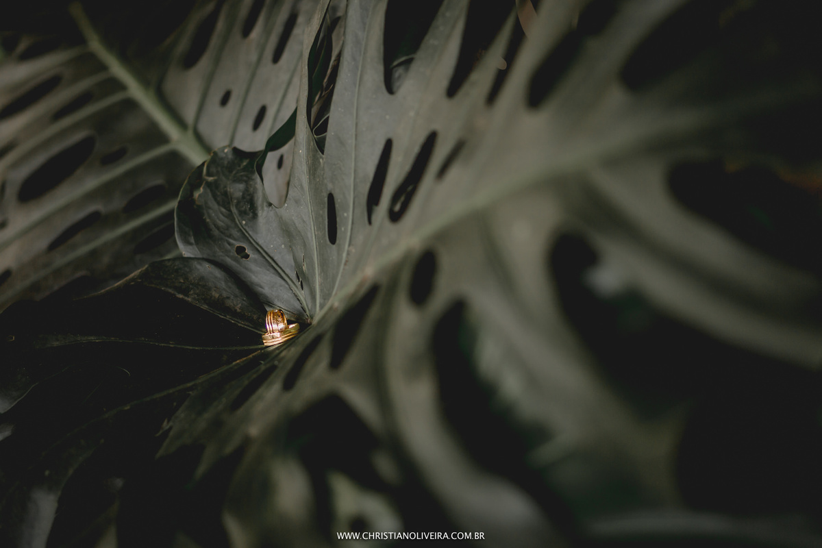 Casamento Jéssica Veiga e Marcelo Alessandrini_Fazenda Matogrosso_Curvelo-MG_Fotografo Christian Oliveira_Vestido Geanfranck Fonseca_Casando de Dia_Casando no Interior_Grupo Chuva de Arroz_Viviane Menezes_Assessoria de Casamento_Esther Santos Álbuns_NOIVA