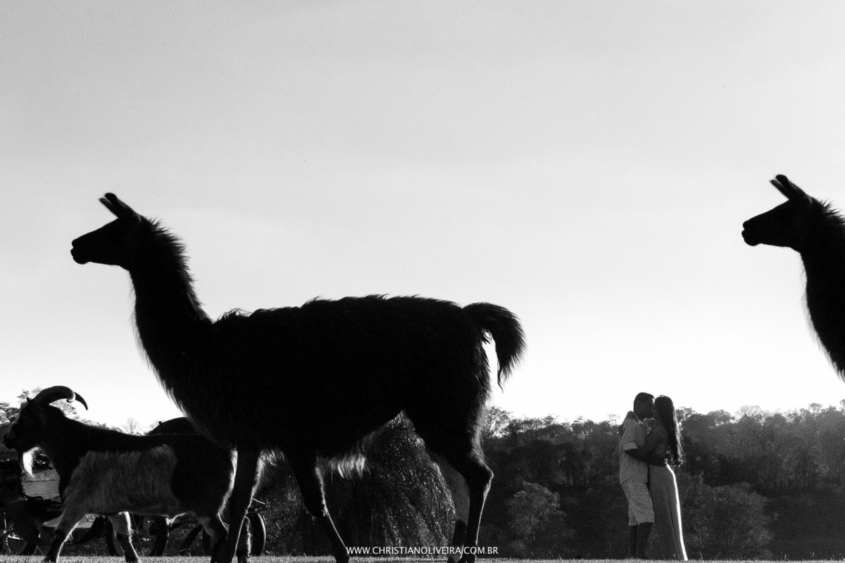 Pré Casamento_Noivos_Karine e Dudu_Noiva_Grupo Chuva de Arroz_Fotografia_Christian Oliveira_Wedding_Sete Lagoas-MG_Solar do Engenho_Hotel_Resort_Fazenda_Foto_Diferente_Criativa_Bride_Brasil_Minas Gerais_Curvelo