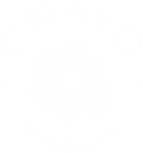 Logotipo de VANESSA FELTRIN