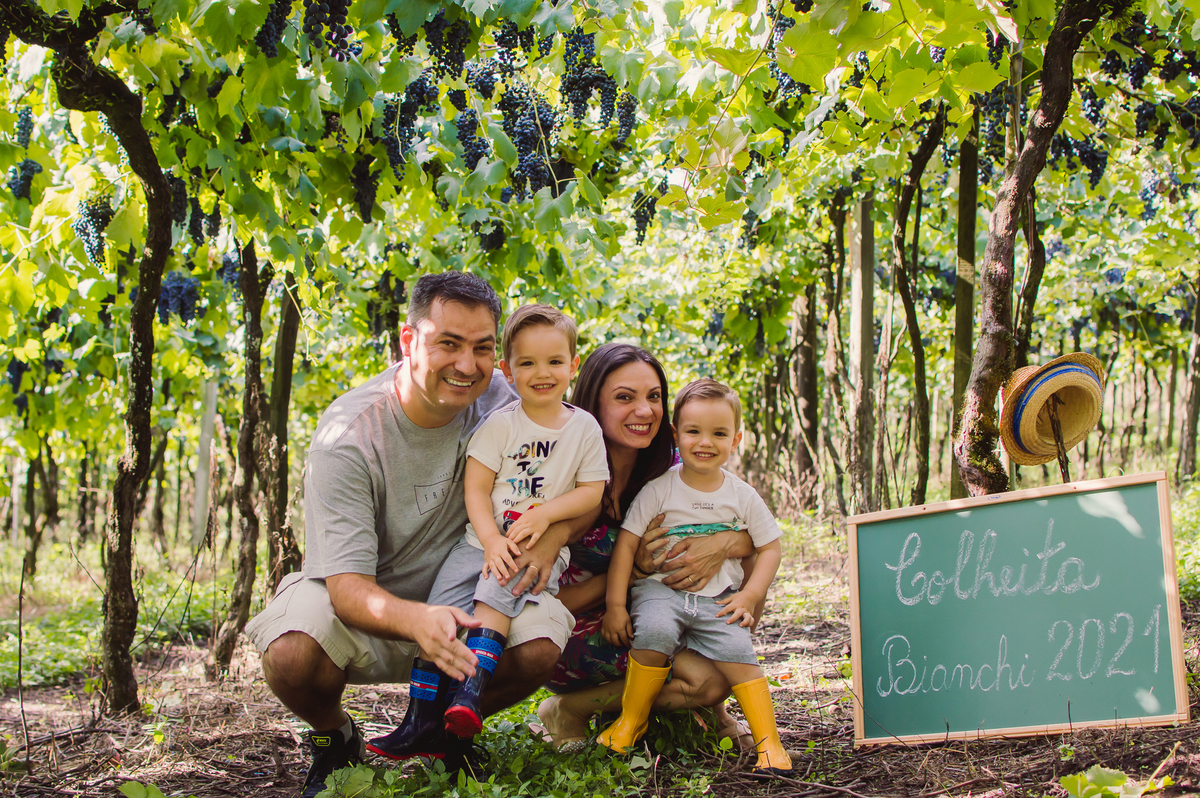 familia na colheita da uva 