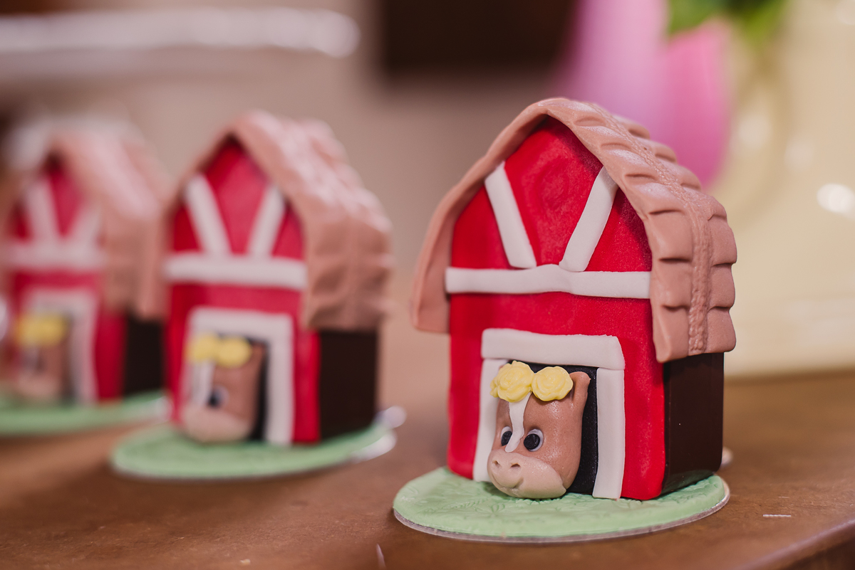 aniversário infantil festa doces casinha fazendinha bichos 