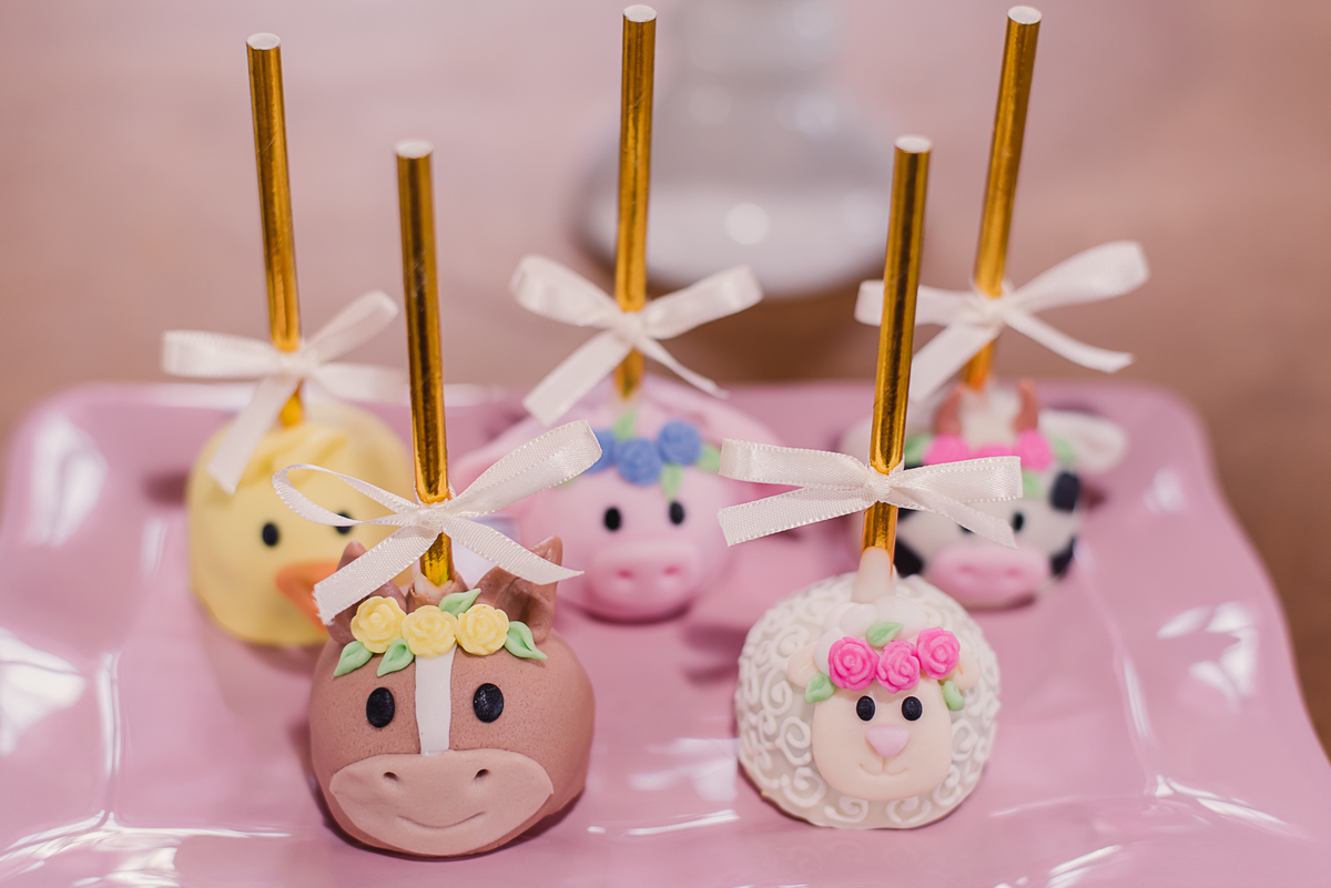 decoração doces bichos fazendinha aniversário infantil 