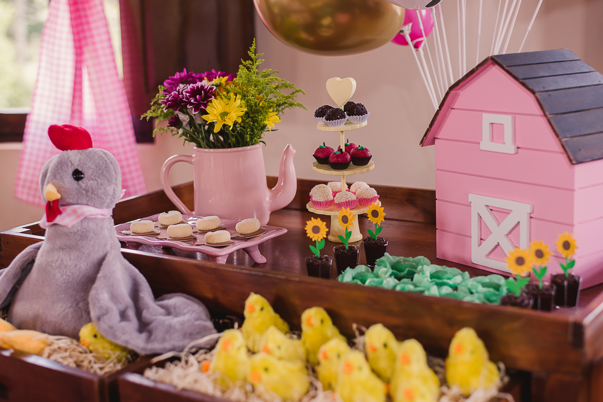 decoração doces bichos fazendinha aniversário infantil ursos flores casinha pintinho amarelinho 
