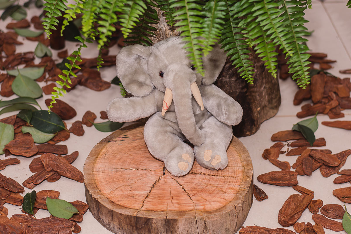 decoração urso doces 