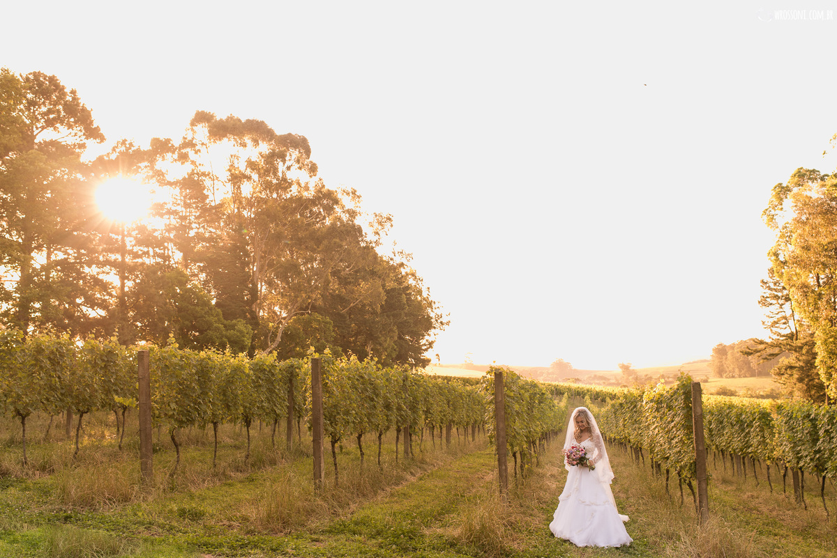 casamento vinicola laurentia, fotografia casamento laurentia, fotografia casamento barra do ribeiro, fotografia casamento vinicola, laily e xande, casamento em vinicola, casamento na serra gaucha, casamento ao ar livre,, inspiração madrinhas