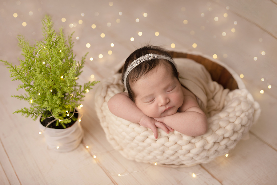 recém nascido no cestinho em lindo ensaio newborn na barra da tijuca