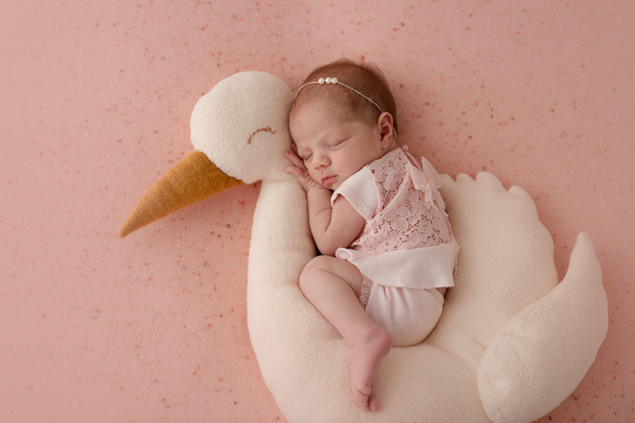 newborn em casa da caterina na barra da tijuca