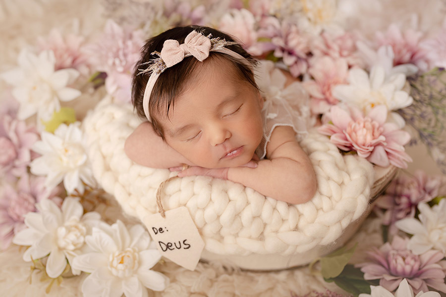 newborn em casa da isabela no rio de janeiro