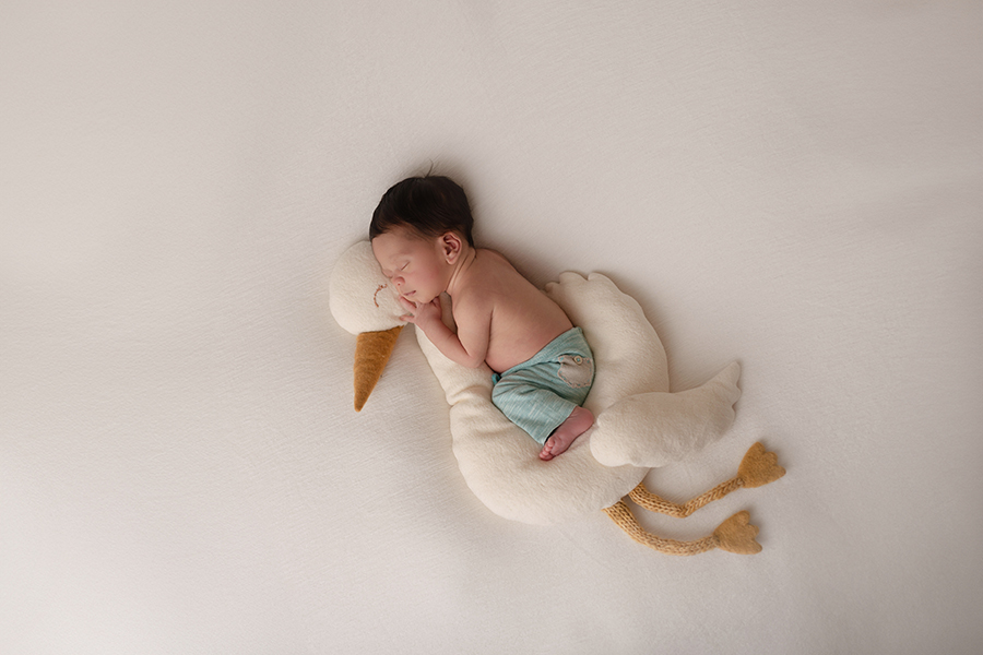 Recém-nascido Murilo – ensaio em casa em Santa Cruz-RJ