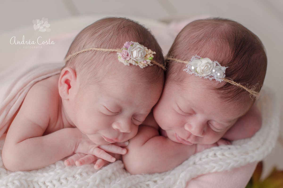 ensaio newborn das gêmeas Laura e Lais no Rio de Janeiro feito pela fotógrafa profissional Andréa Costa