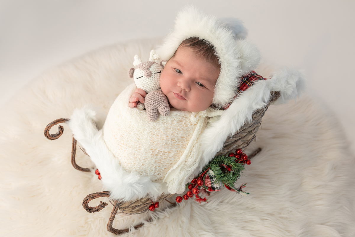 fotografia_recem_nascido_estudio_newborn_machico_madeira_carla_pereira