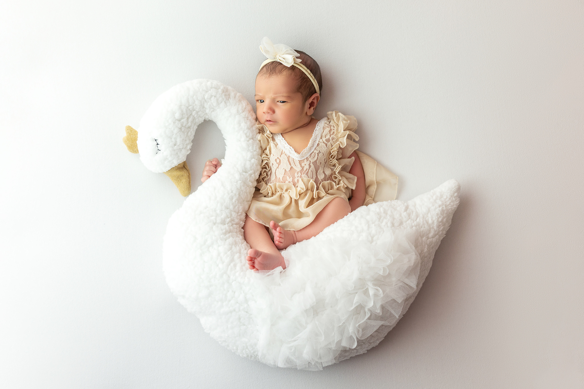 fotografia_recem_nascido_estudio_newborn_machico_madeira_carla_pereira