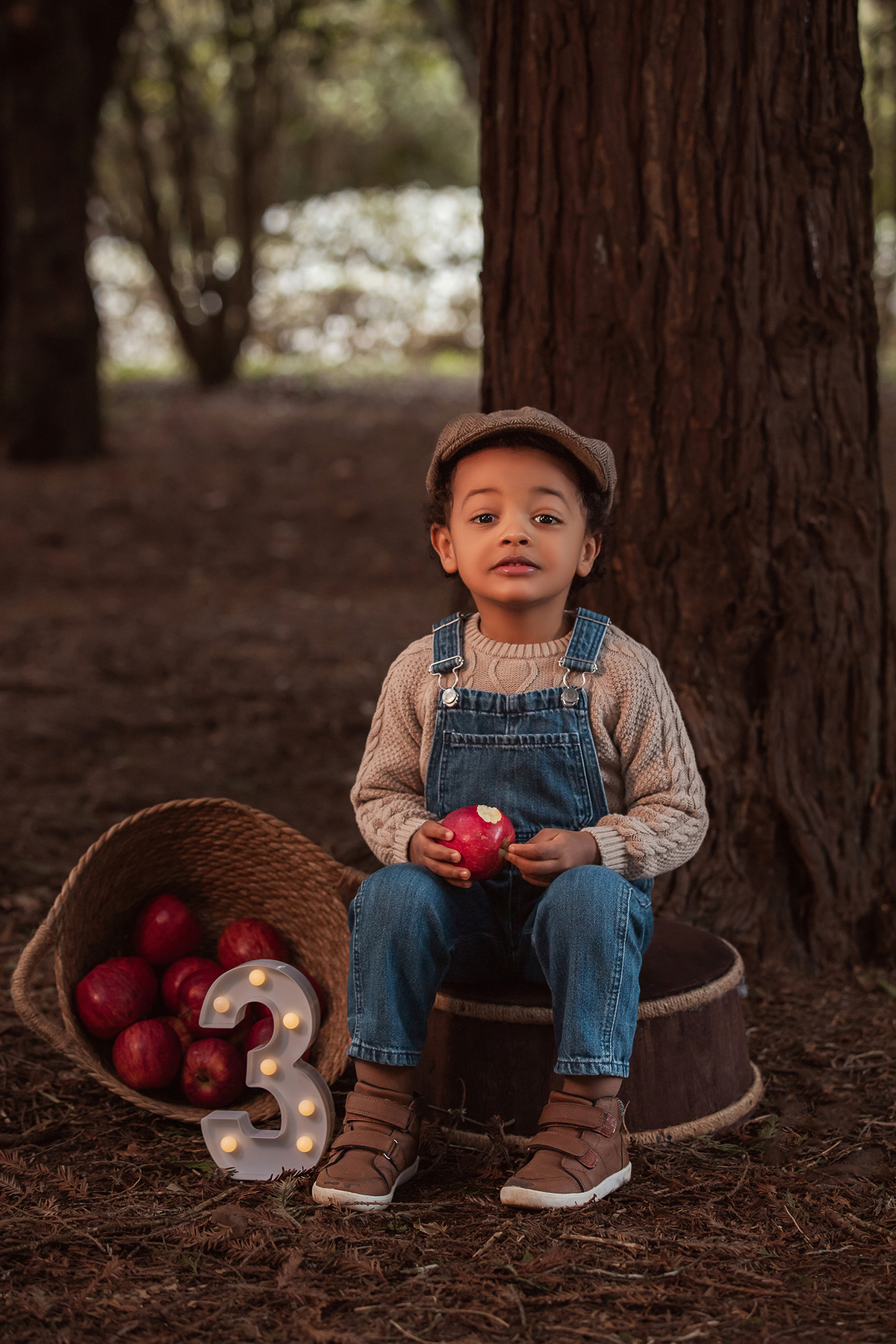 aniversario_3_anos sessao_3_anos sessao_externa fotos_3_anos fotografia_infantil fotografia_crianca ensaio_infantil menino_3_anos fotos_ao_ar_livre natureza brincadeira aventura curiosidade energia diversao momentos_unicos criancas_felizes espontaneidade 