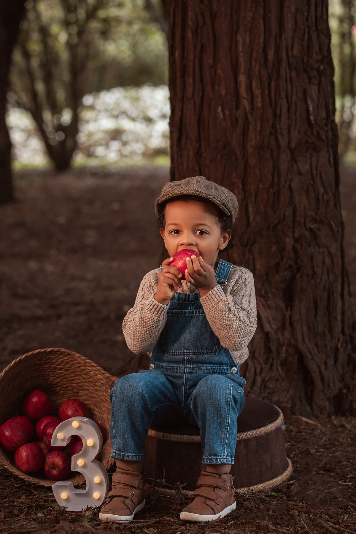 aniversario_3_anos sessao_3_anos sessao_externa fotos_3_anos fotografia_infantil fotografia_crianca ensaio_infantil menino_3_anos fotos_ao_ar_livre natureza brincadeira aventura curiosidade energia diversao momentos_unicos criancas_felizes espontaneidade 