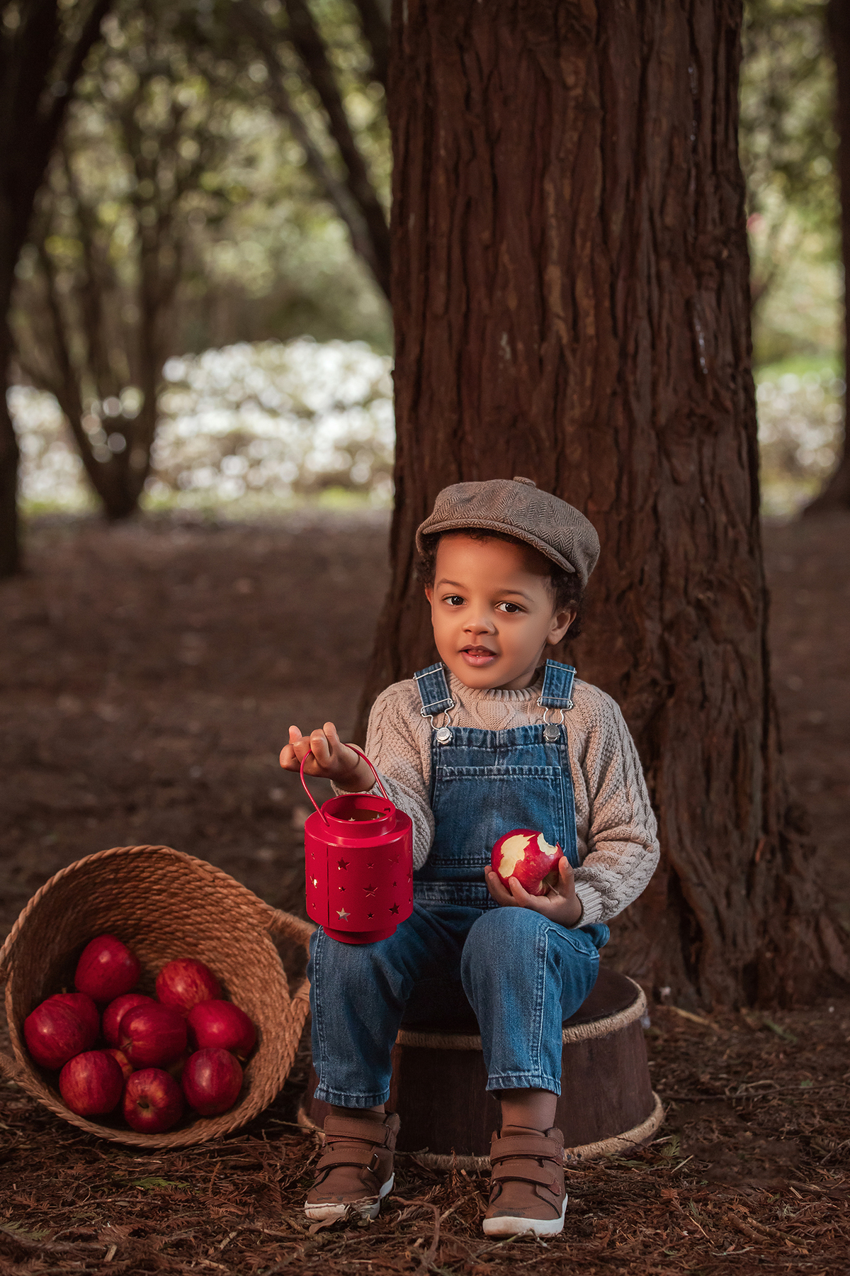 aniversario_3_anos sessao_3_anos sessao_externa fotos_3_anos fotografia_infantil fotografia_crianca ensaio_infantil menino_3_anos fotos_ao_ar_livre natureza brincadeira aventura curiosidade energia diversao momentos_unicos criancas_felizes espontaneidade 