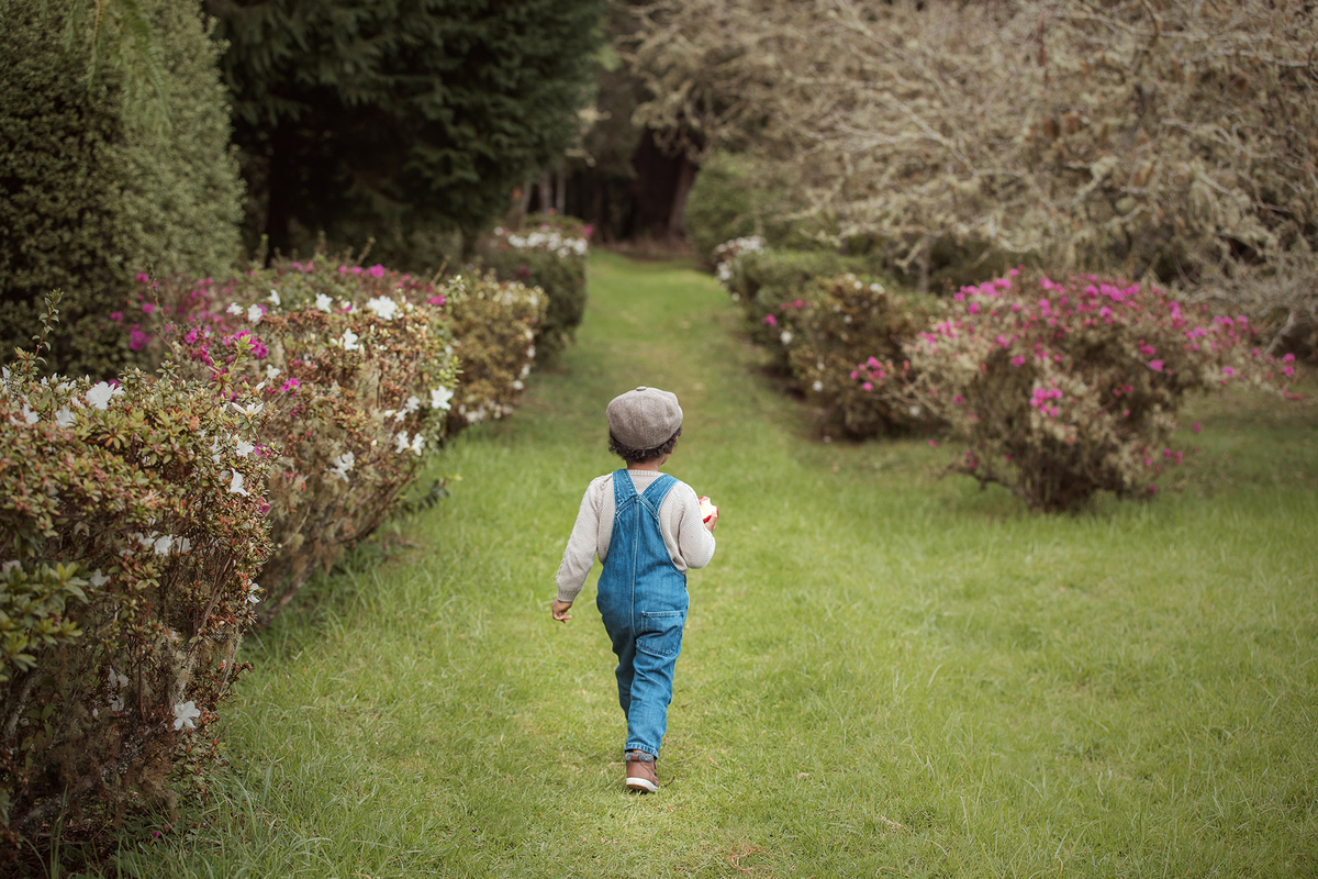 aniversario_3_anos sessao_3_anos sessao_externa fotos_3_anos fotografia_infantil fotografia_crianca ensaio_infantil menino_3_anos fotos_ao_ar_livre natureza brincadeira aventura curiosidade energia diversao momentos_unicos criancas_felizes espontaneidade 