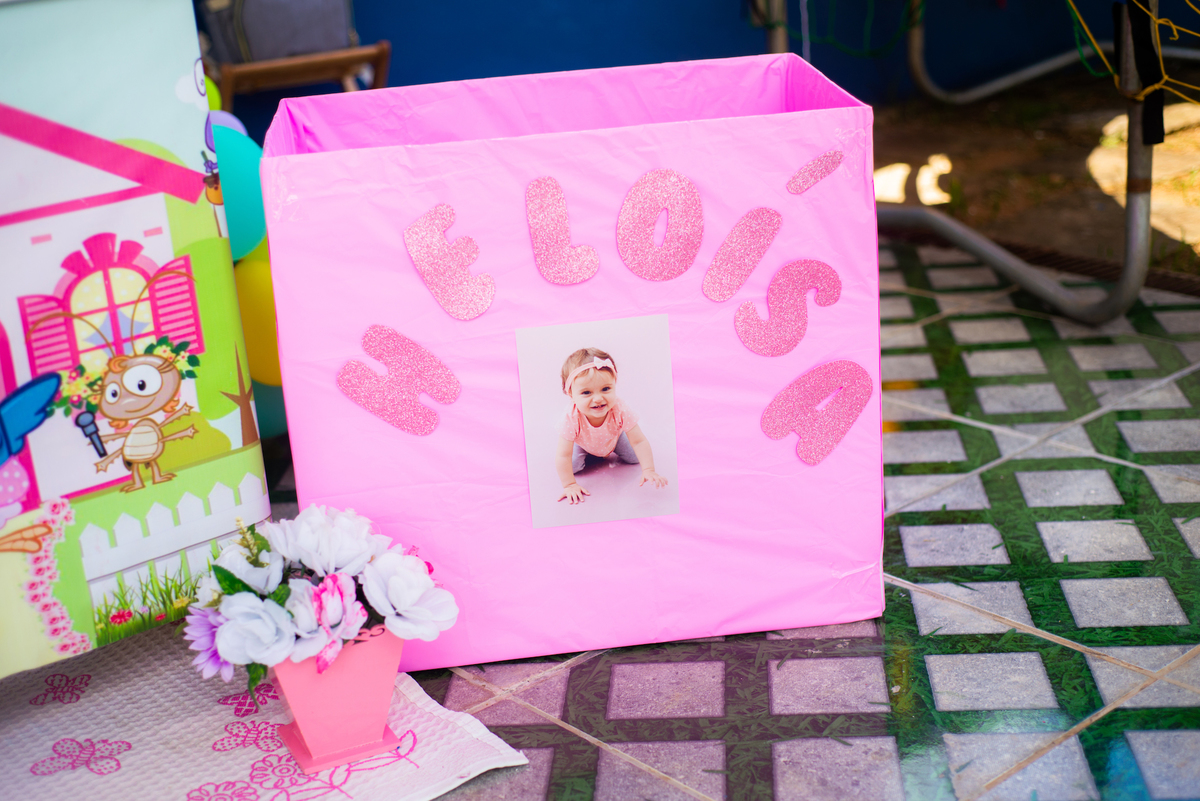 Aniversário infantil tema galinha pintadinha, decoração, fotografia infantil, Tai Barsanulfo em São Roque - SP