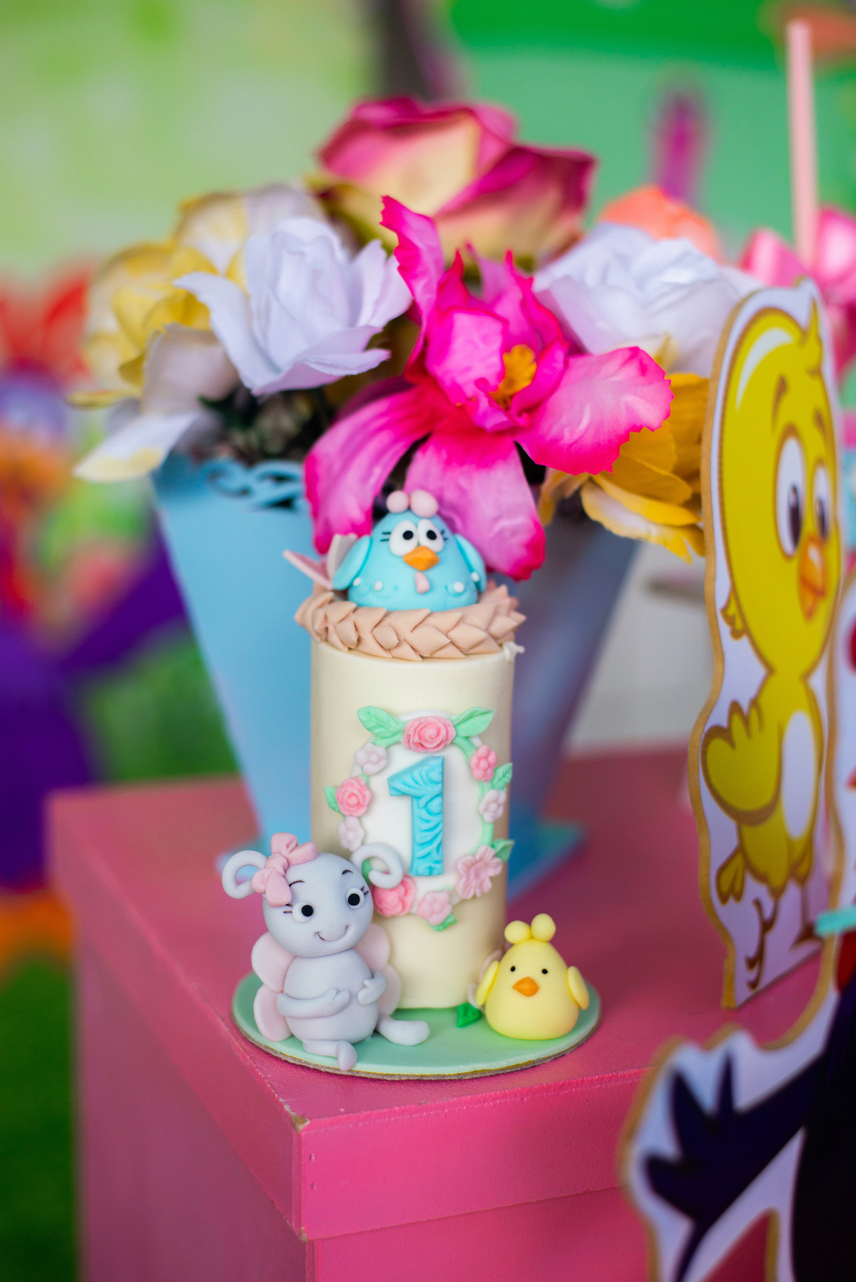 Aniversário infantil tema galinha pintadinha, decoração, fotografia infantil, Tai Barsanulfo em São Roque - SP