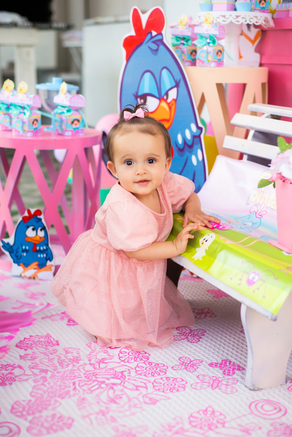 Aniversário infantil tema galinha pintadinha, decoração, fotografia infantil, Tai Barsanulfo em São Roque - SP