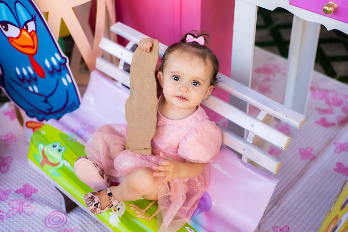 Aniversário infantil tema galinha pintadinha, decoração, fotografia infantil aniversário, buffet, Tai Barsanulfo em São Roque - SP